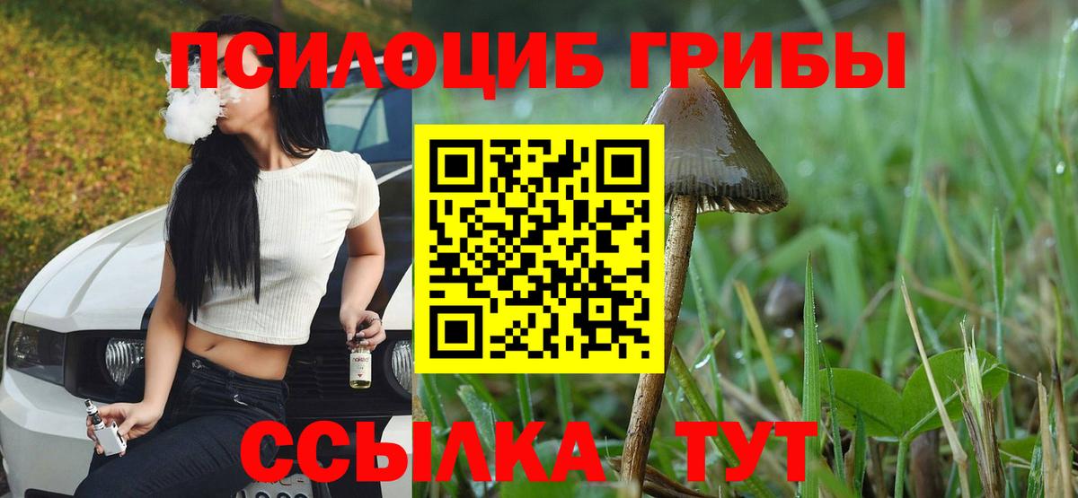 Псилоцибиновые грибы Cubensis  Галлюциногенные грибы мицелий  Вход с VPN  Нефтекамск 